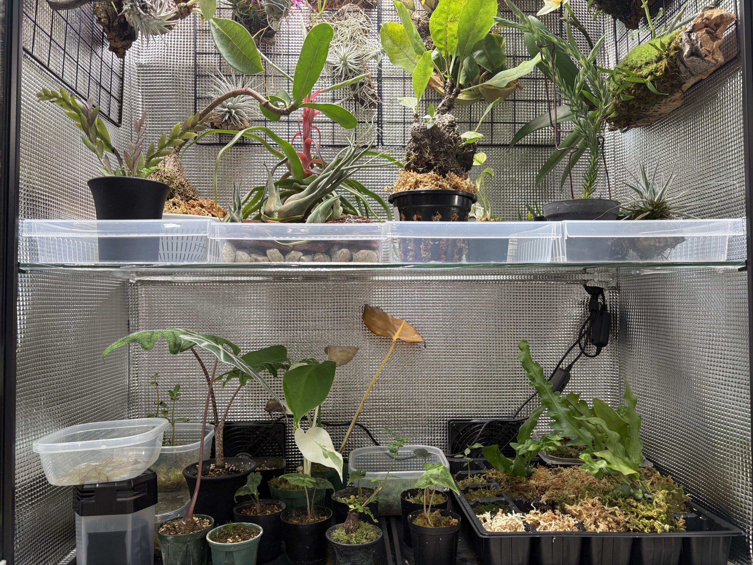 光を下に通すために屋内温室の天板に使った透明トレー