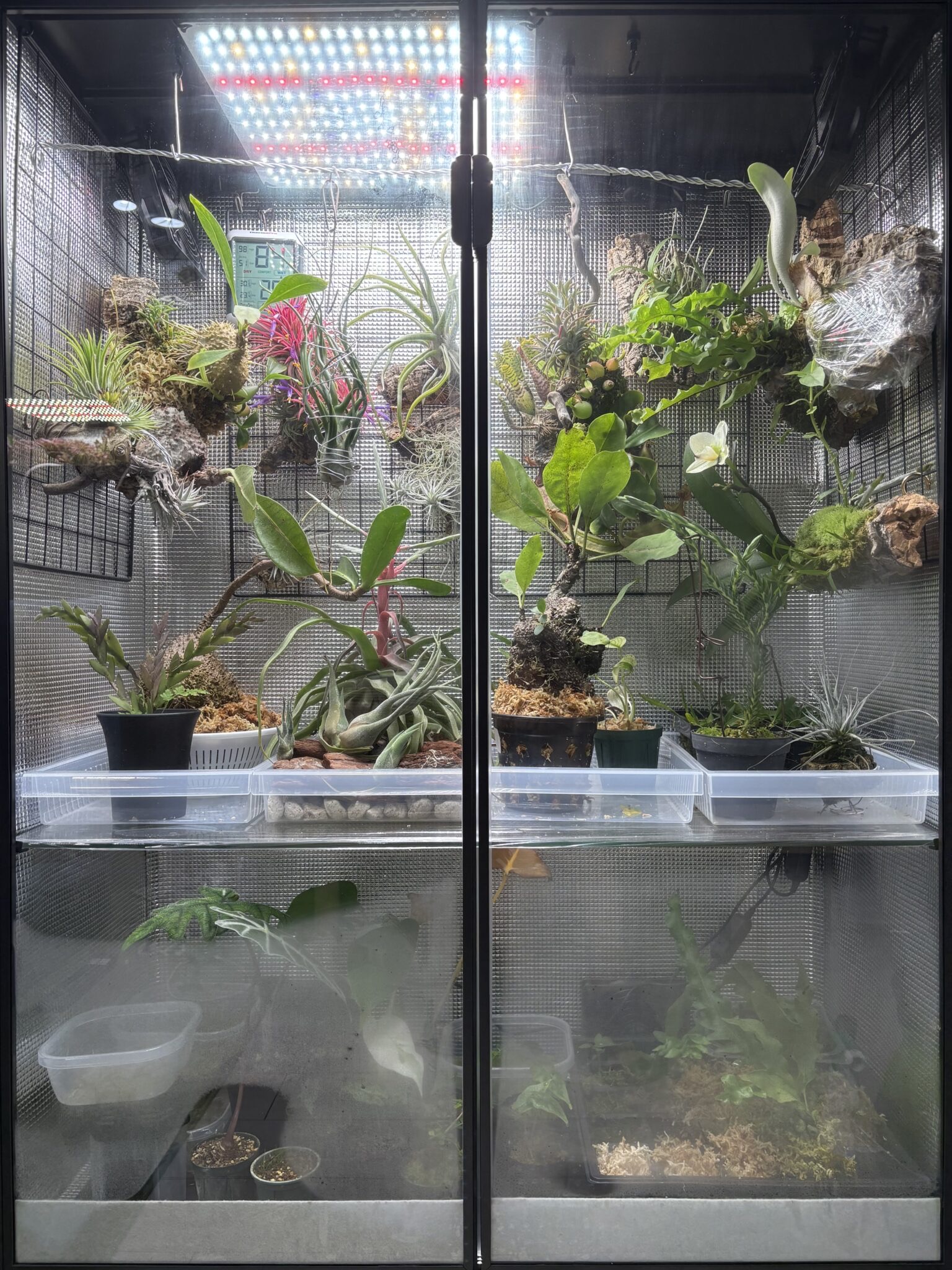 IKEAルードスタを改造して作った、観葉植物の育成に最適な密閉型の自作温室